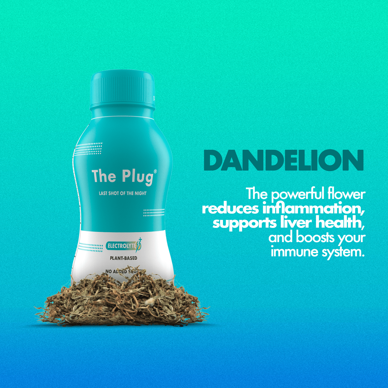 Liver Support Drink Plant Based WA - Image 3
